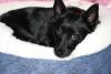 Thumbnail of SKIPPER_50329.JPG