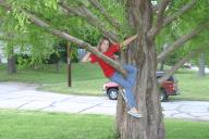 Thumbnail of TREE_CLIMB.JPG